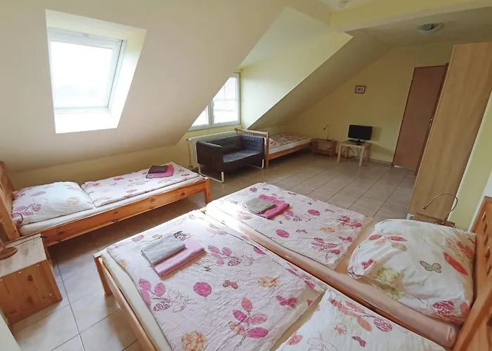 Sport - Relax Buky Františkovy Lázně