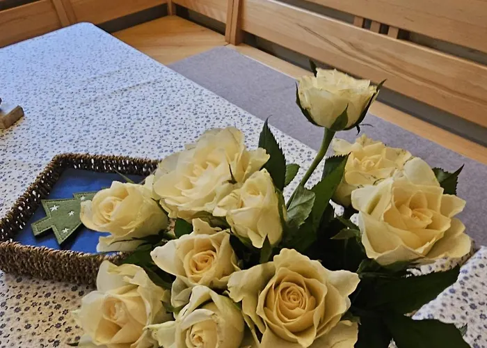 Sport - Relax Buky Penzion Františkovy Lázně